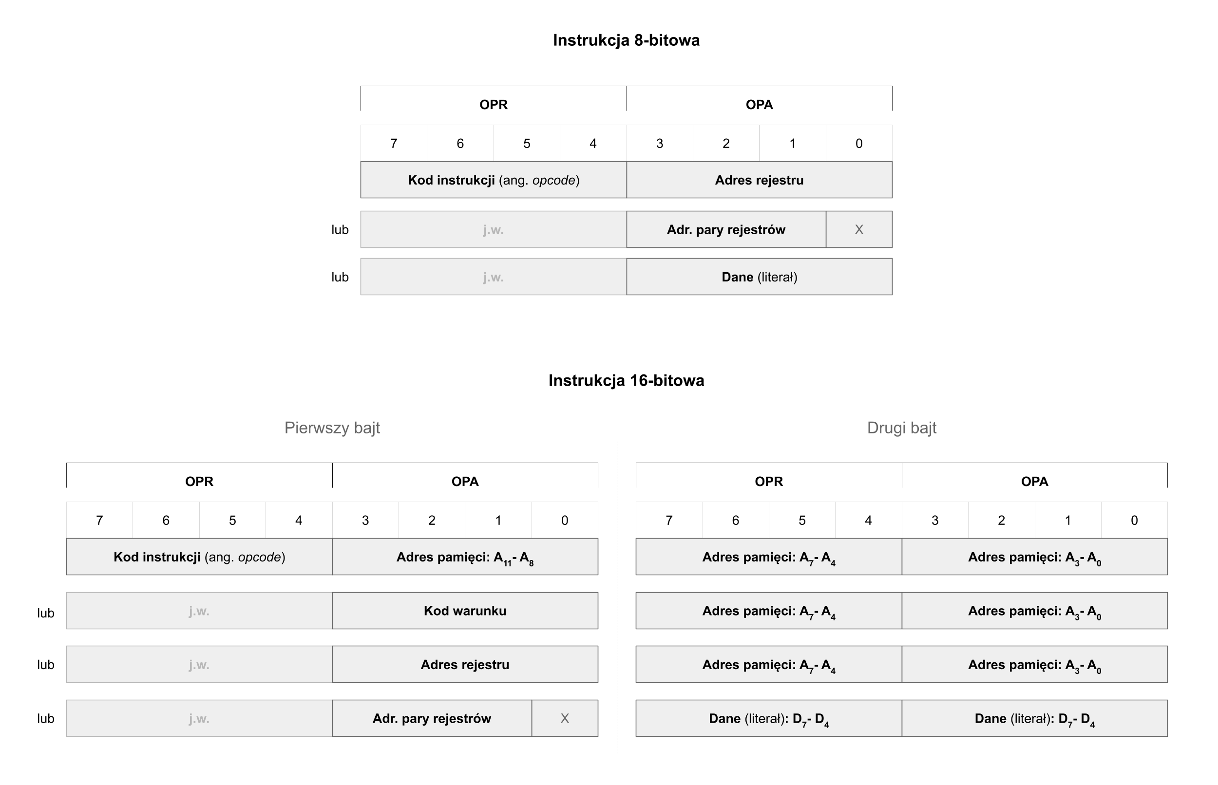 Format instrukcji